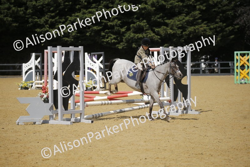 20250622-3847 - 50cm