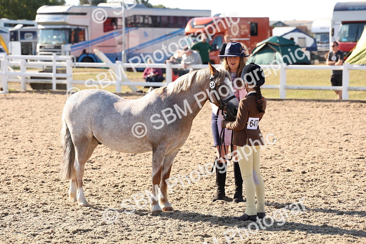 SBM_11685 - Class 203 - Young Handler 11 to 16 years