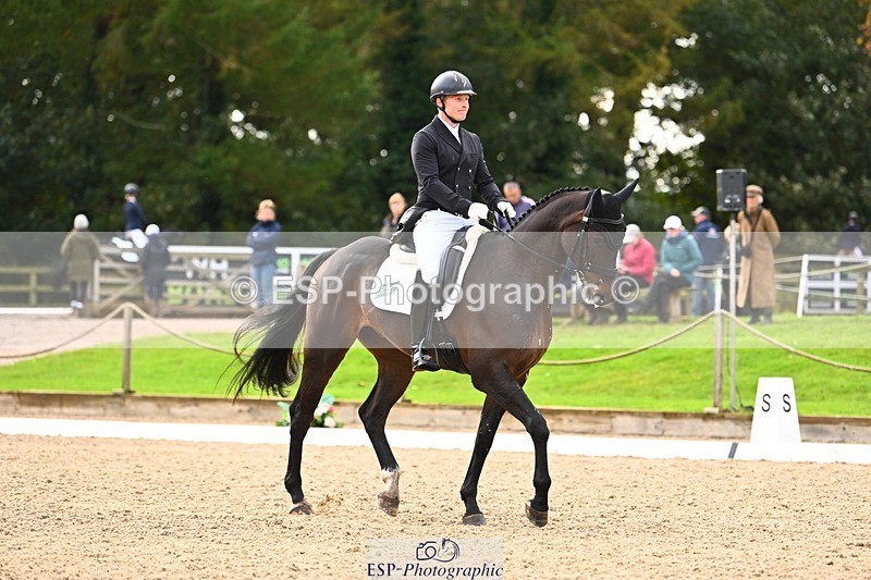 231021-135029-17720 - 351-MOONLIGHT.CHARMER-Aaron.Millar-DR