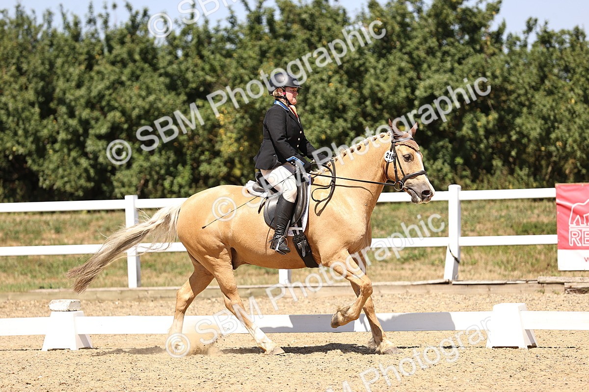 SBM_012219 - Novice 5 - 13.05-14.36