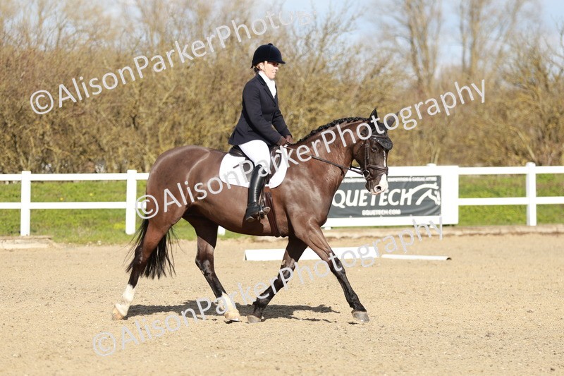 20260314-4466 - DR4 - Prelim 2