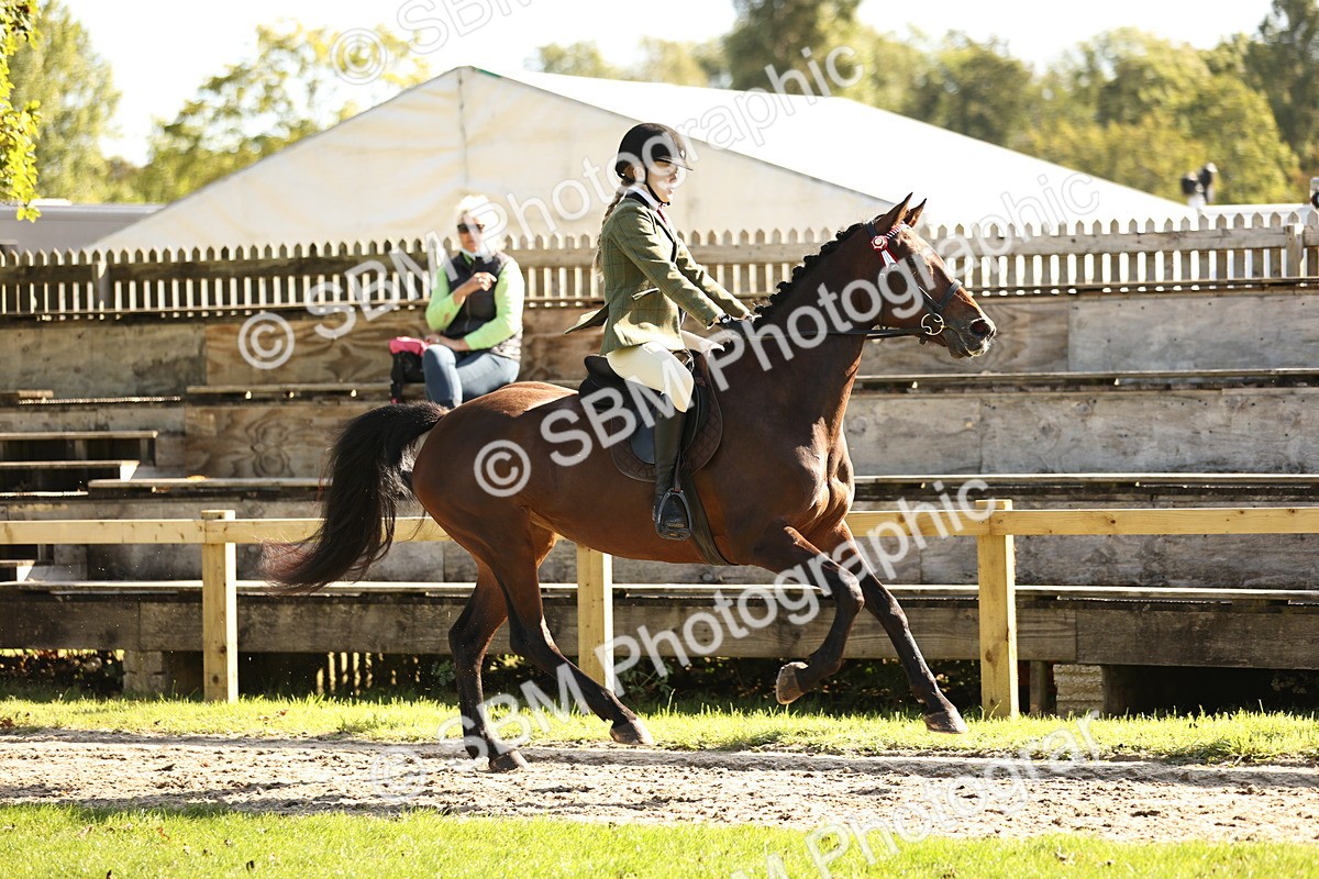 SBM_16984 - S2 - TSR Ridden Pony Showing