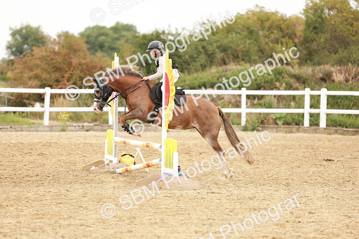 SBM_007533 - Class 3 - 60cm