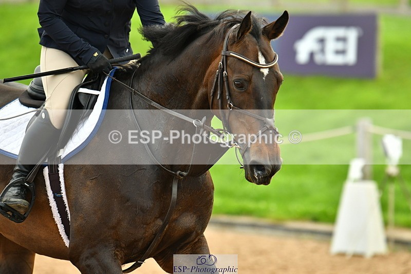 230729A-082611-03836 - Cls 13A Senior 1.05m