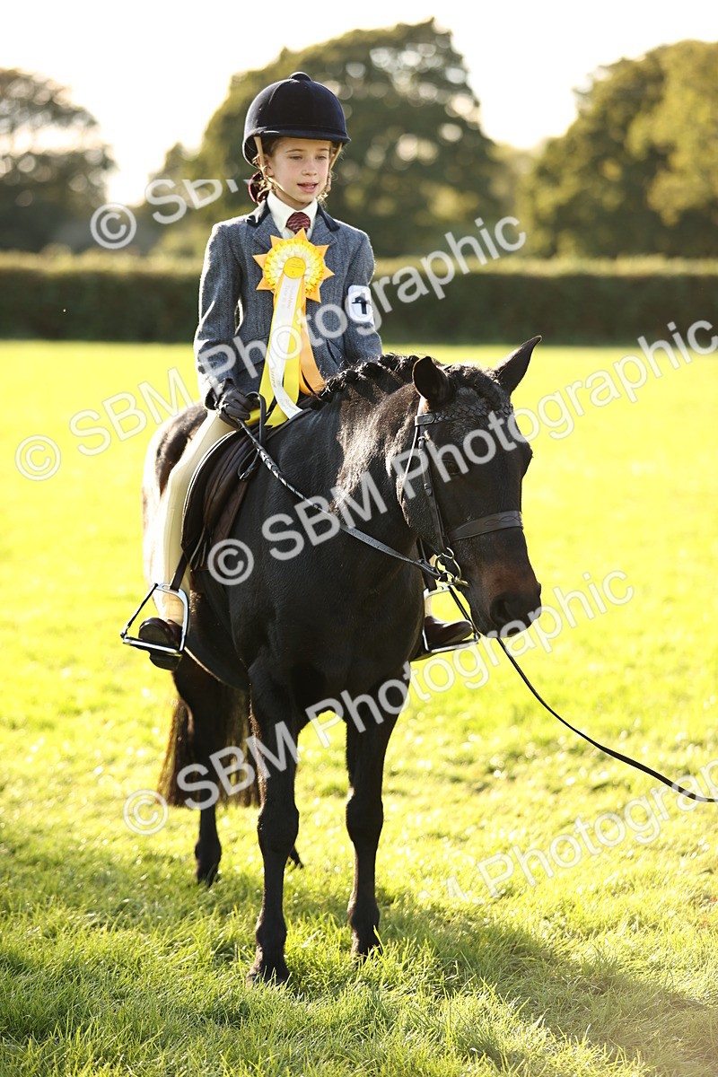 SBM_29503 - S7 - Novice & Newcomers Ridden Pony