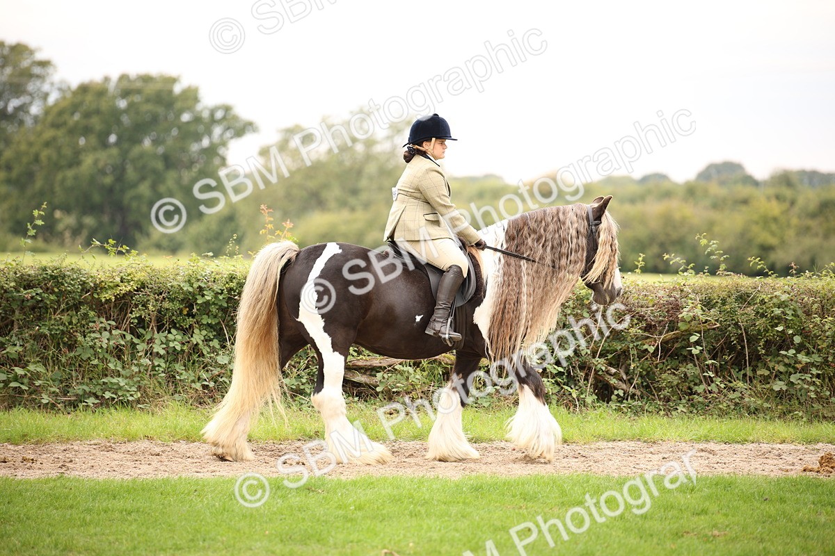 SBM_73406 - S68 - Traditional Cob Ridden
