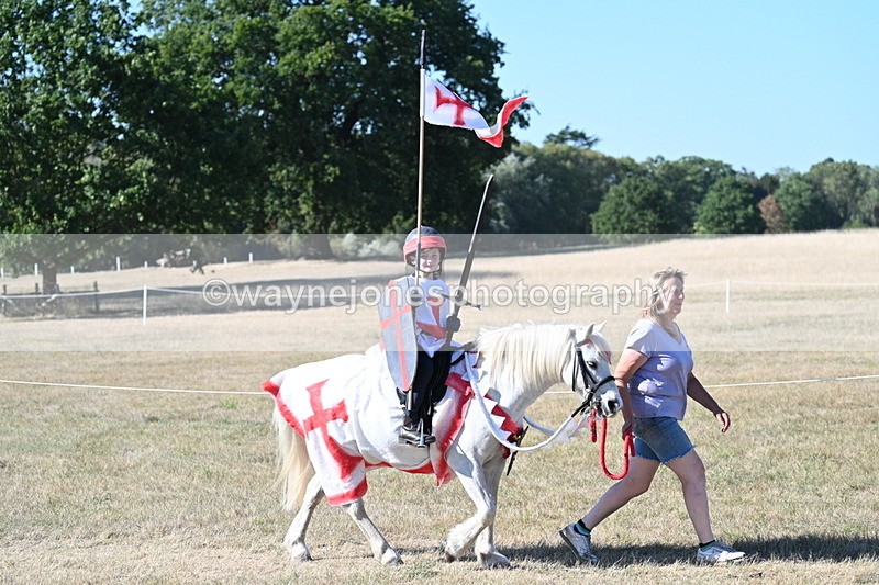 WJ7_2449 - Class 45 Fancy Dress (My Fav)