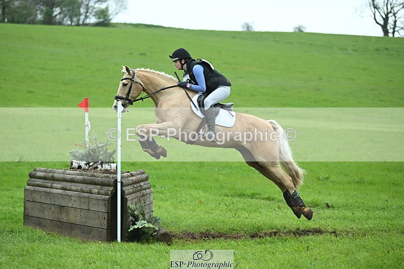 250419-130017-10725 - 523-Kate.Hicks-SWALLOWCROFT.STARDUST