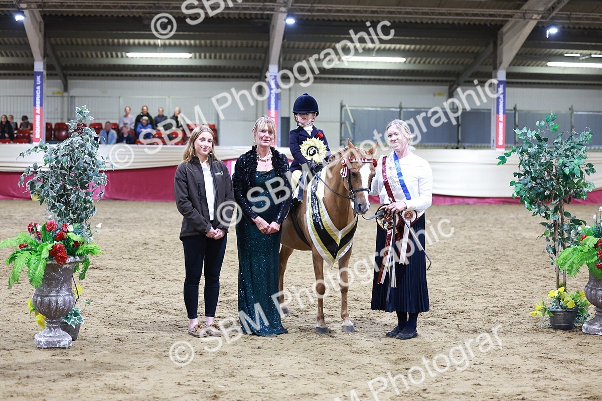 SBM_20589 - Class H - IH Competition - Riding Club champ