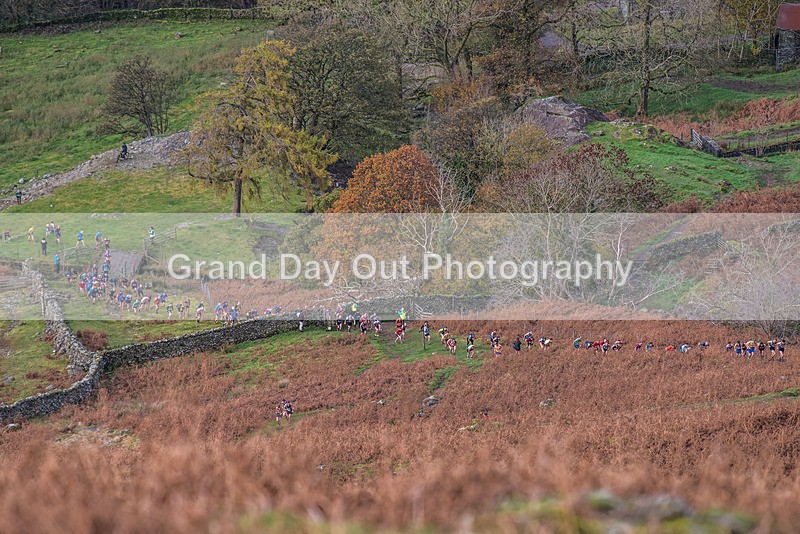 Stybarrow Dodd-104 - Kong Running Stybarrow Dodd Fell Race Saturday 4th November 2023