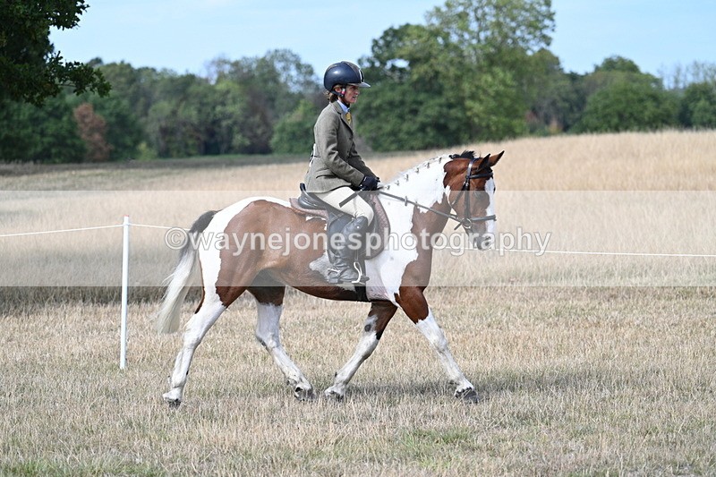 WJ7_7019 - Class 14 Ridden Coloured
