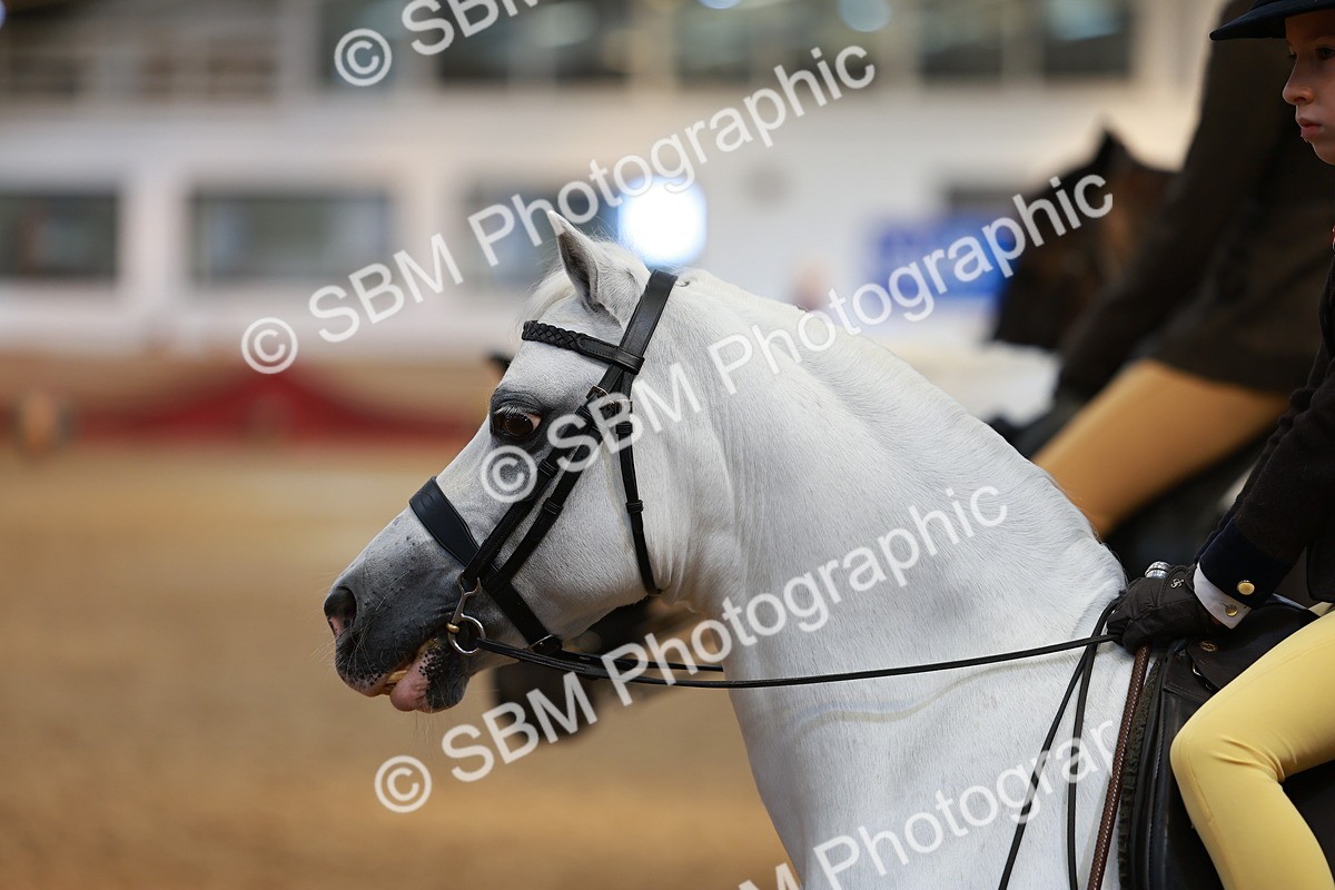 SBM_10592 - Class 103 - HOYS Veteran Qualifier - Ridden Pre Vet