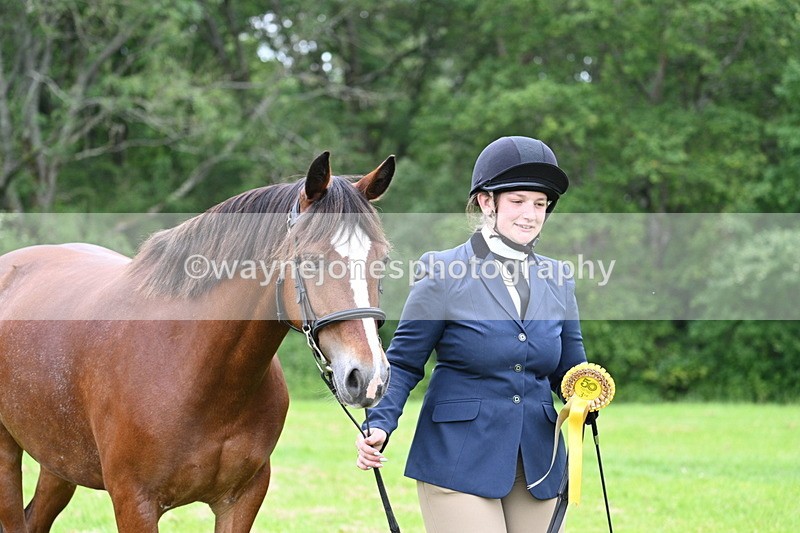 WJ7_4601 - Class 14B Prettiest Mare