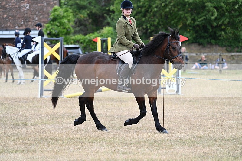 WJ7_0617 - Class 6 Ridden Mountain and Moorland