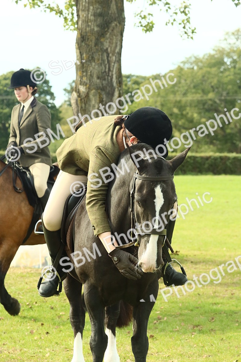 SBM_69379 - S58 - Mini Show Cob Ridden