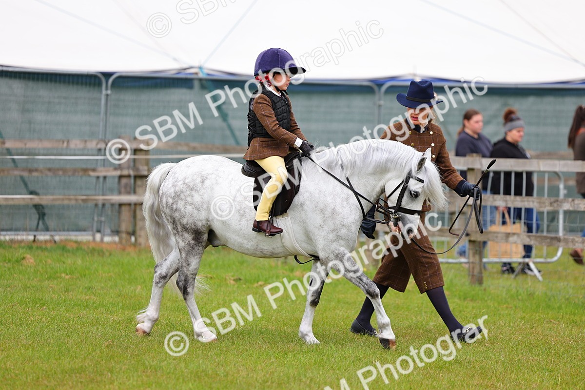 SBM_08073 - Class 42-43 - LIHS BSPS Heritage Working Sports Pony