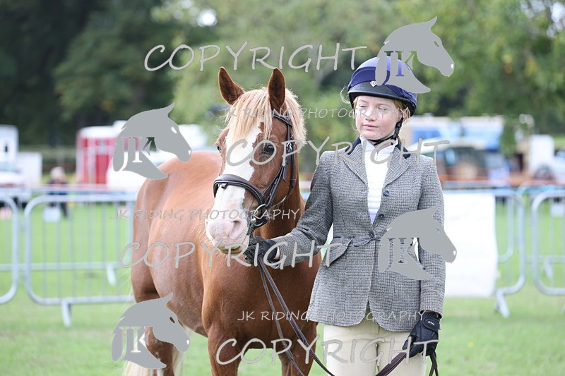 APP_2623 - Class 9 Veterans in hand