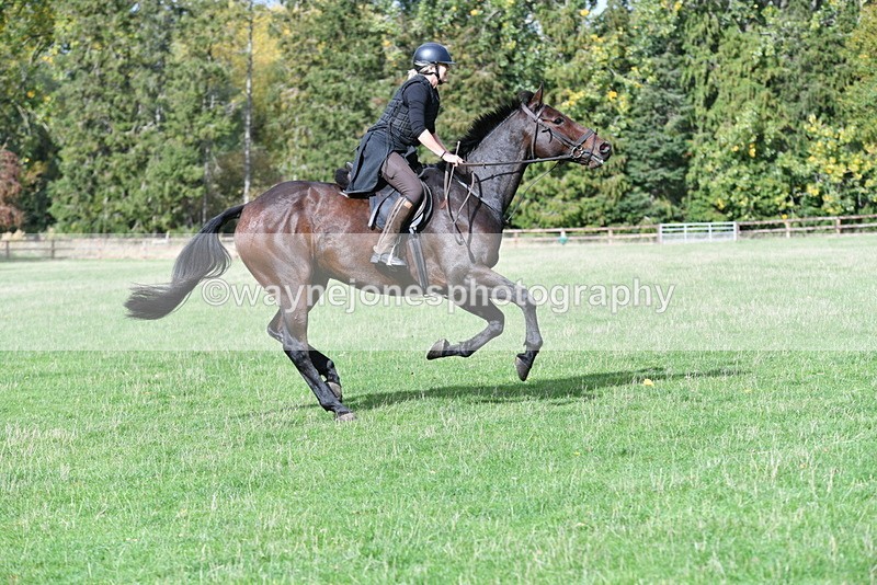 WJ5_8999 - Time 12:34 to 12:57