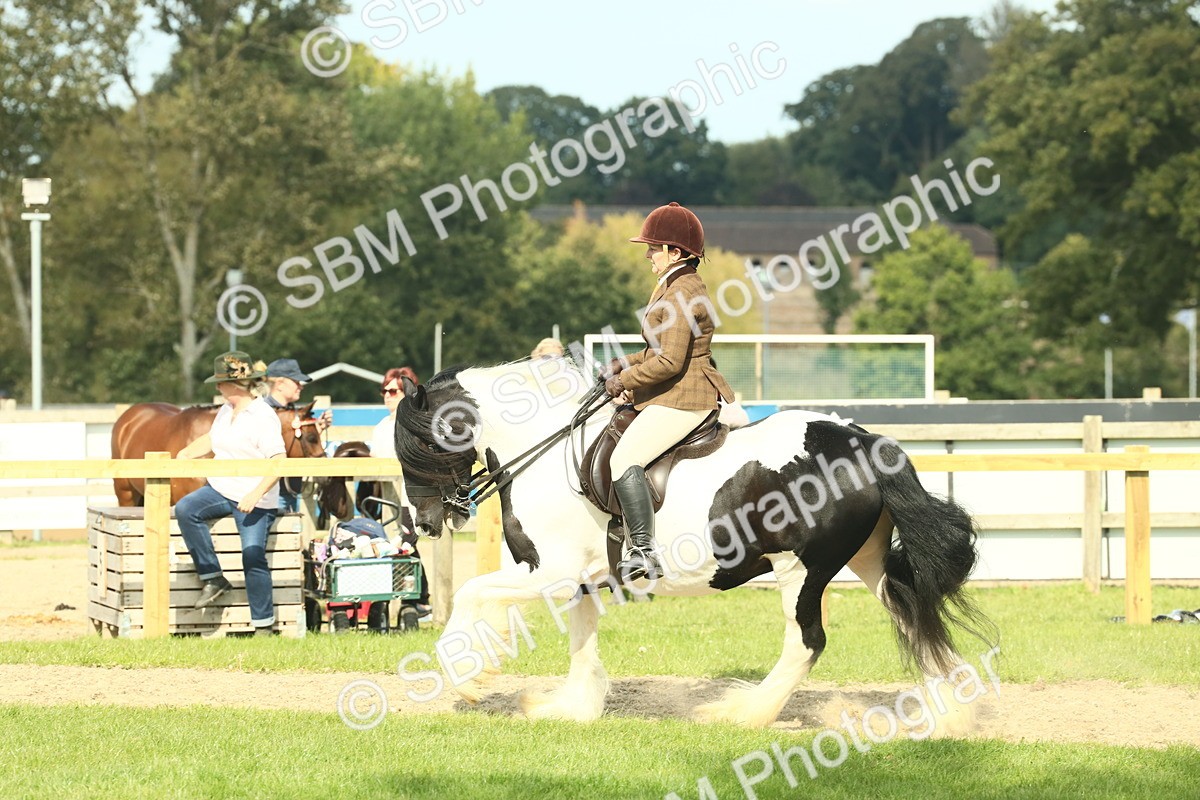 SBM_68802 - S58 - Mini Show Cob Ridden