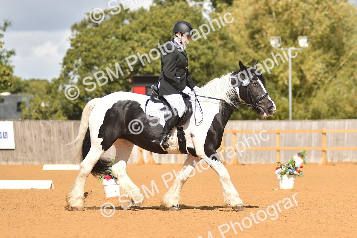 SBM_03131 - D4 - Small Tour Championship Intro 4