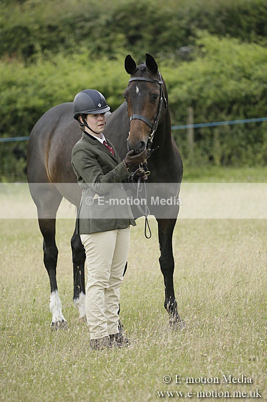 B230619-0274 - Bourne Valley Riding Club Summer Show 23/06/19