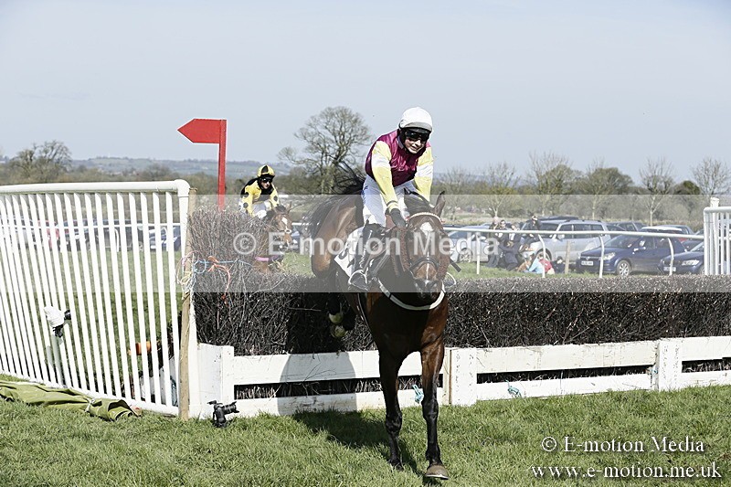 PtP 260317 131 - Mendip Farmers Point-to-Point Ston Easton 26/03/17