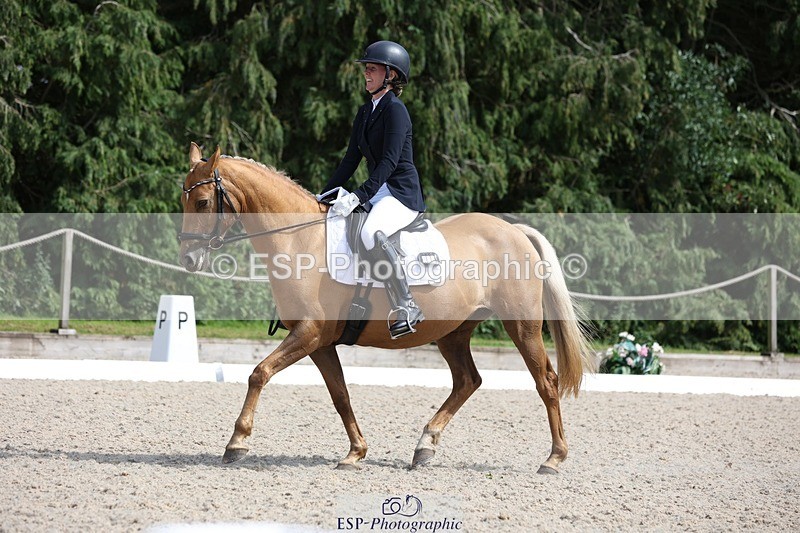 230811-151820-02421 - Cls 1 Prelim Bronze 15.00 to End