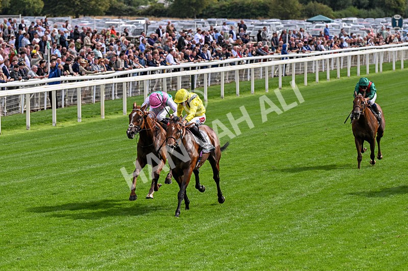 190826-Race 4-Item-0461 - Race 4 15.35pm Juddmonte International Stakes