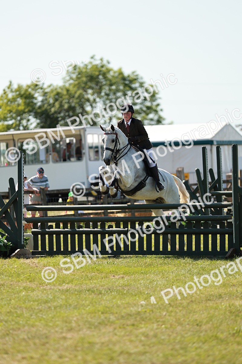SBM_18851 - Class 114 - RIHS & SEIB Open Working Show Horse