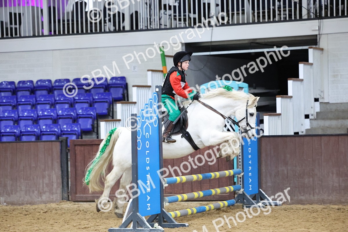 SBM_001219 - Class 3 - Christmas Tree Stakes - 60cm