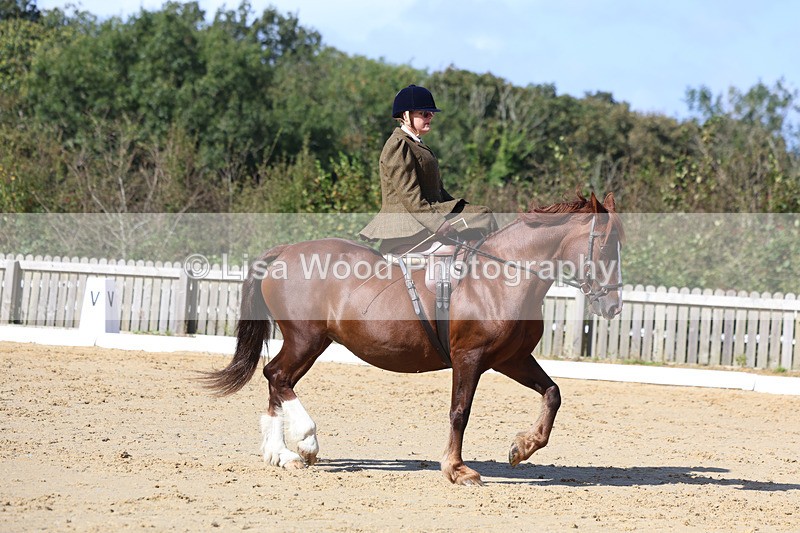 3E7A2732 - Class 4: Prelim 6 Section A Championship