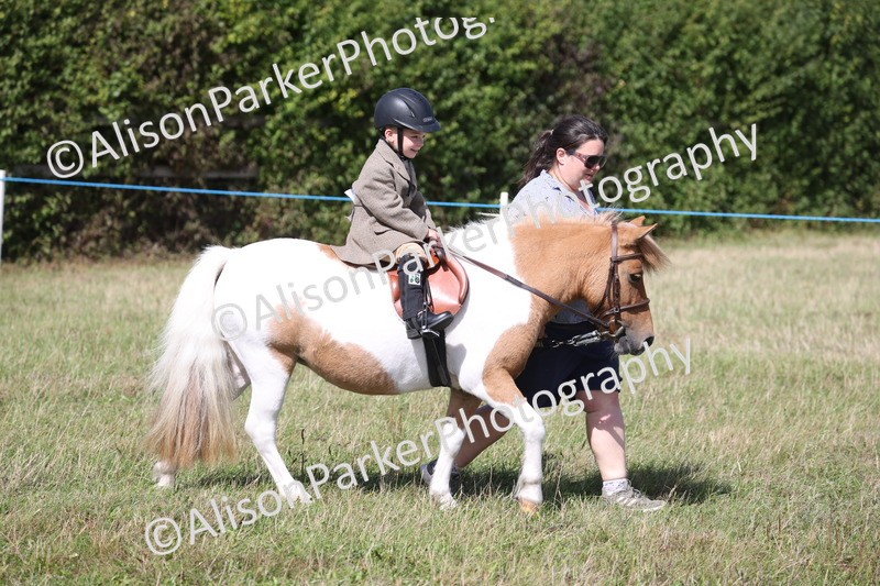 20260906-2728 - Class 25 - Absolute Beginners Pony