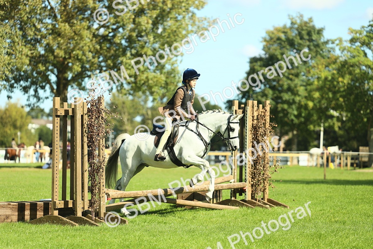 SBM_39194 - S29 - Novice & Newcomers Working Hunter Pony