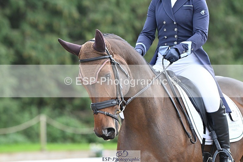 231019-143447-04552 - 125-KINDA.CORVETTE-Dani.Evans-DR