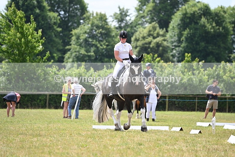 WJ6_6891 - Time 11:48 to 12:22