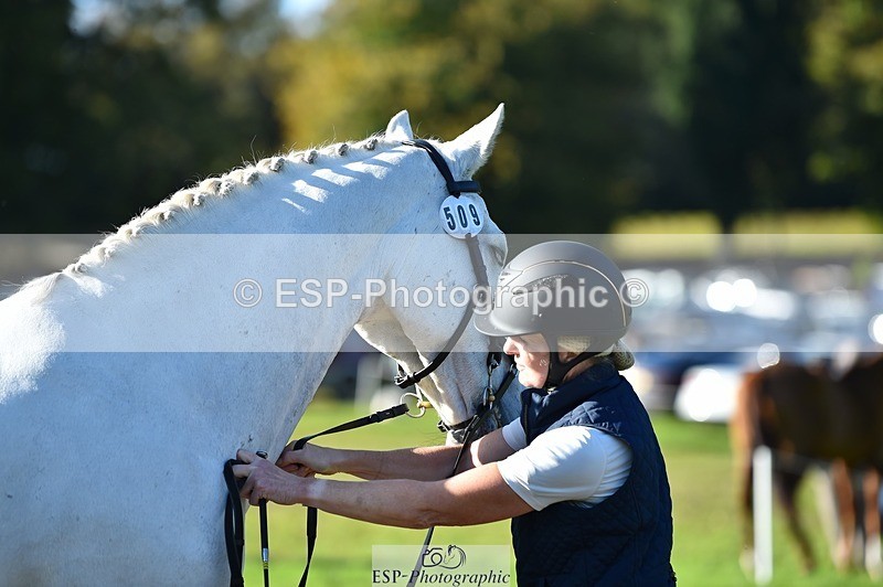 231022-110158-23673 - 509-WOODLANDS.SILVER.CLOUD-Karen.Cowling-TrotUp+SJ