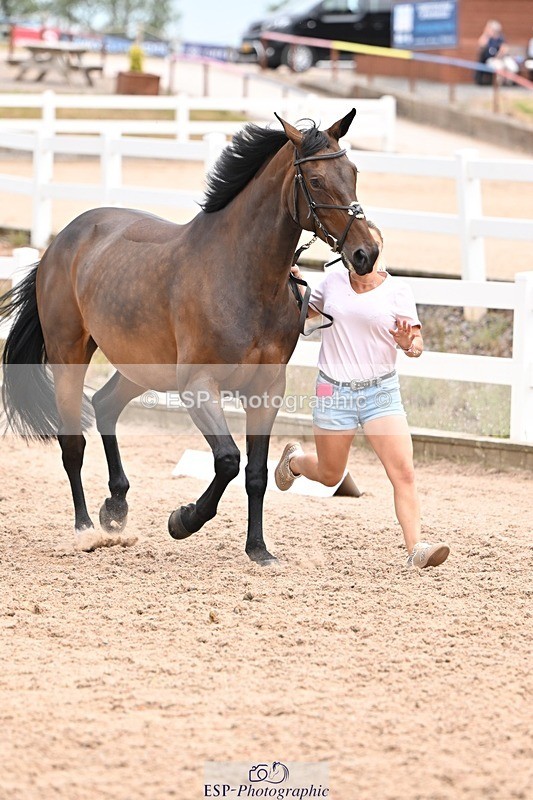 250716-143940-01278 - Trot Up 2.30 to 3.30