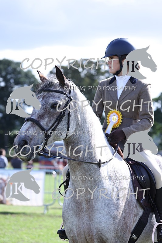 APP_3721 - Class 12 M&M ridden