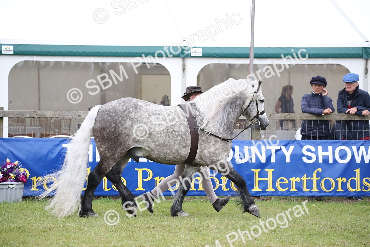 SBM_09738 - Ch 50 - Price Family Supreme In Hand