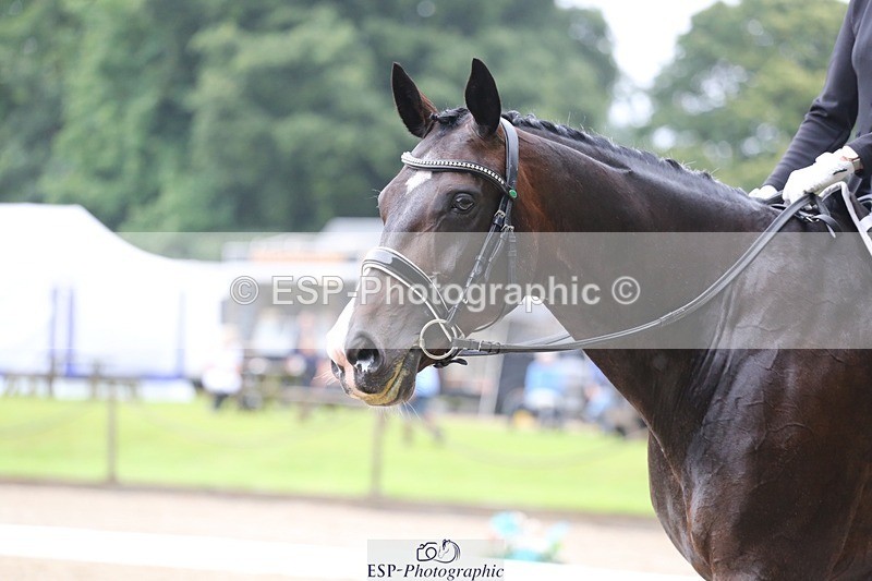 240720-145449-06258 - 242-Jayne_Townsend-Hollyday