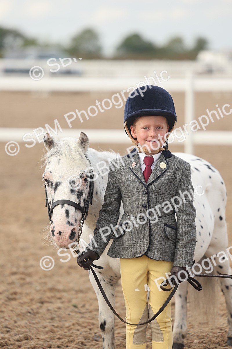 SBM_08570 - Class 29 - IH Veteran Pony