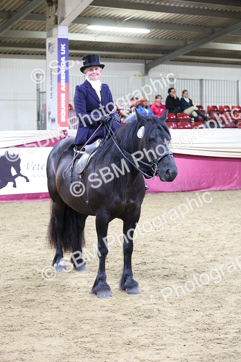 SBM_20983 - Class N - Side Saddle Champ