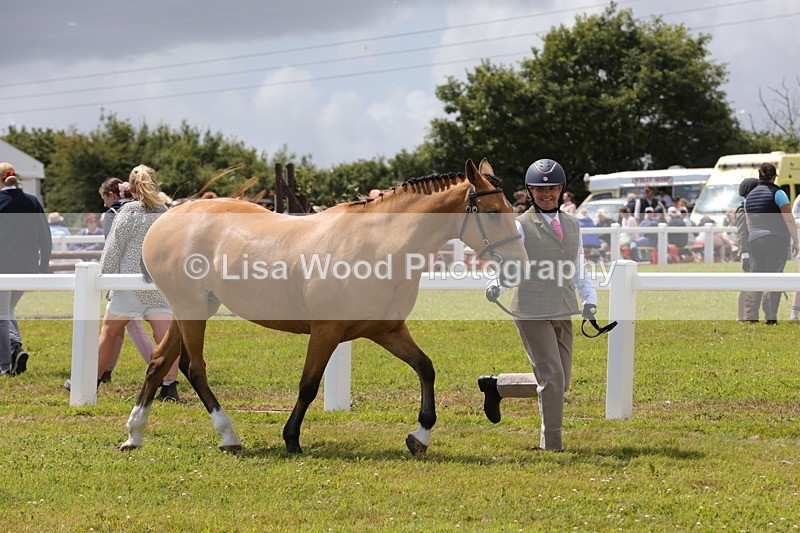 1X9A4892 - Class 35: Veteran In Hand