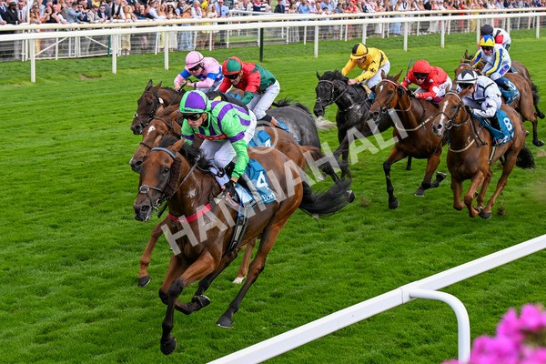 260725-Race 6-Billyb-0823 - Race 6 4.25pm Sky Bet Go-Racing-In-Yorkshire Summer Festival Handicap