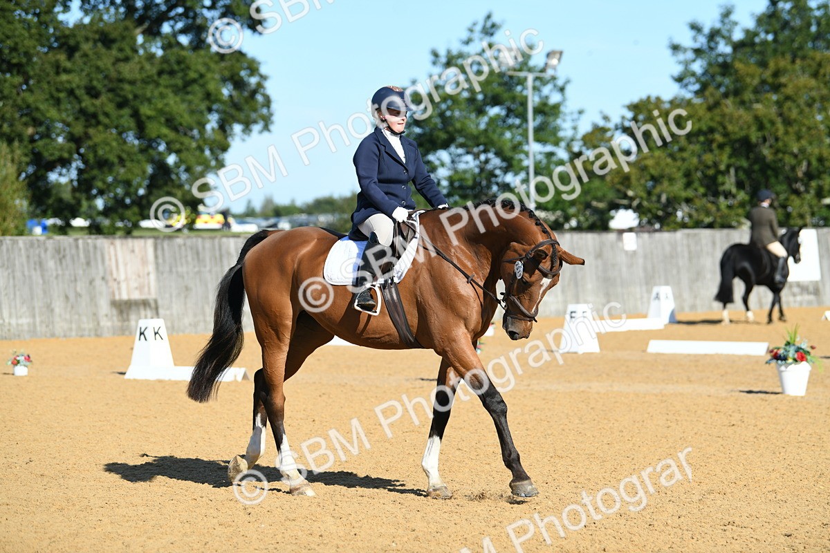 SBM_16232 - D4 - Small Tour Championship - Intro B