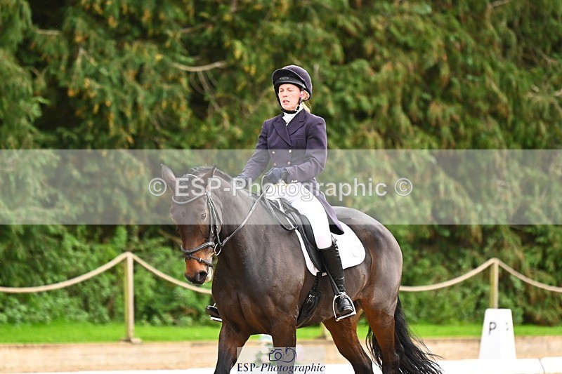 231020-155028-11960 - 217-CEFNPANT.IOLO-Katie.Thomas-DR