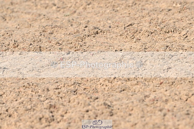 240509A-094003-00625 - Cls 8 Foxhunter