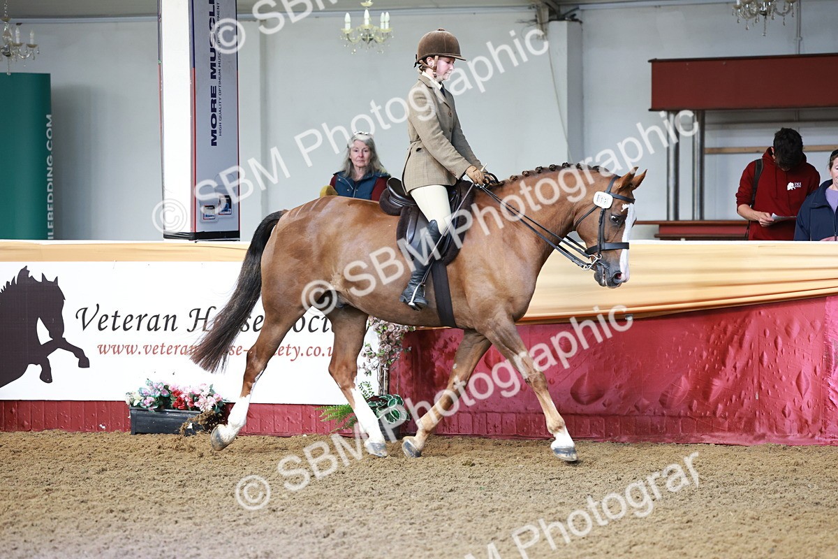 SBM_11963 - Class 102 - Equitation (Best Rider) Adult