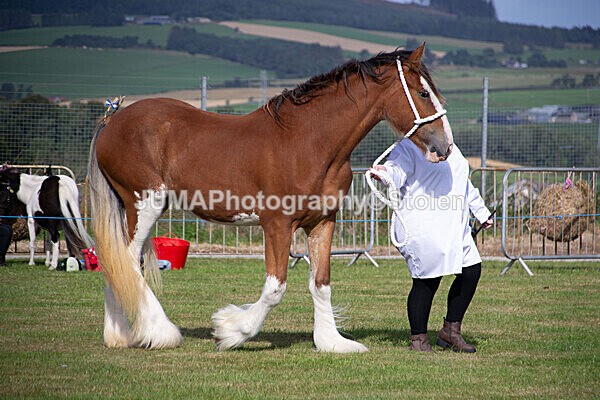 DSC_0133 - Ring 1