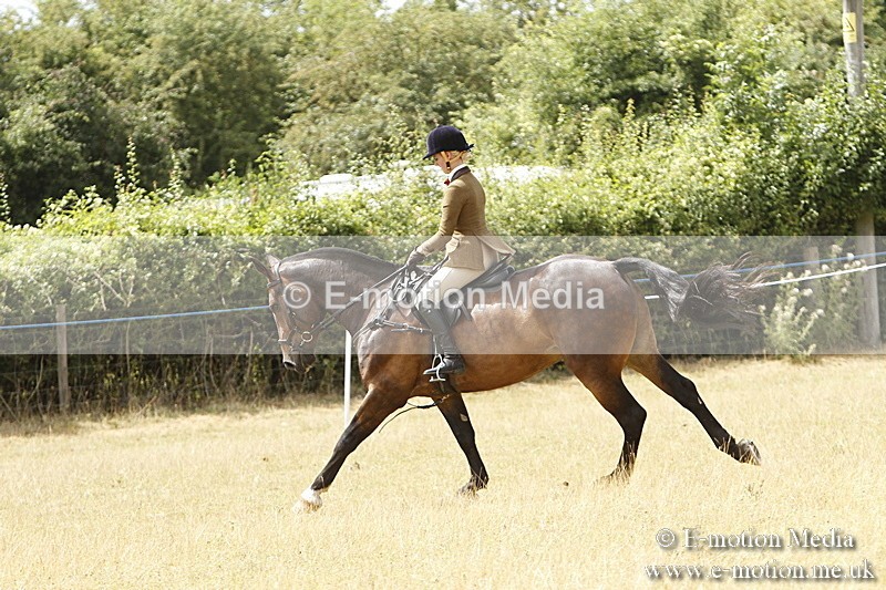 _BS_0964 - BVRC Show 2018 Ring 3